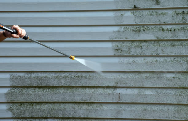 Best Vinyl Siding Pressure Washing in Lumbine Valley, CO